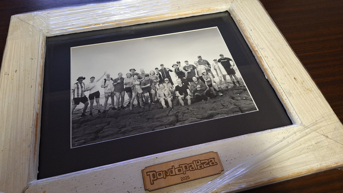 Pondopalooza 2 - Picture Framed in Beach Hut Wood - Dom Wills