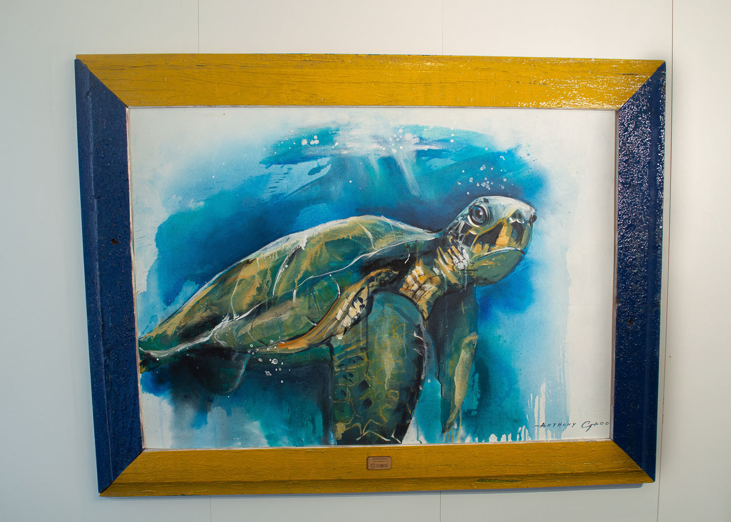 GREEN SEA TURTLE (Anthony Gadd)