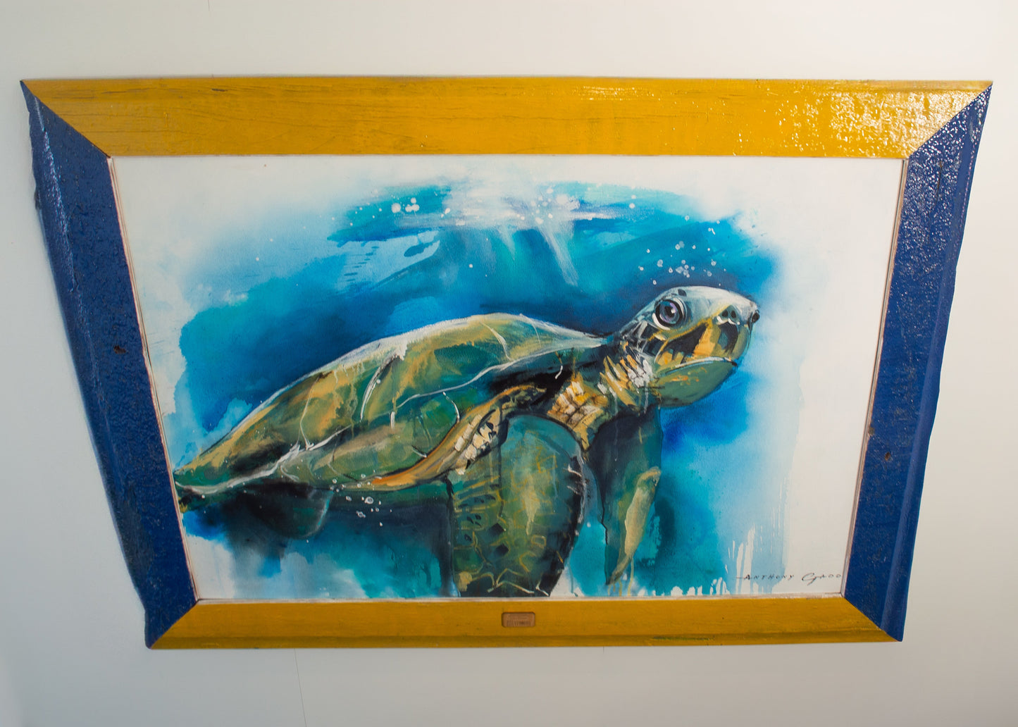 GREEN SEA TURTLE (Anthony Gadd)