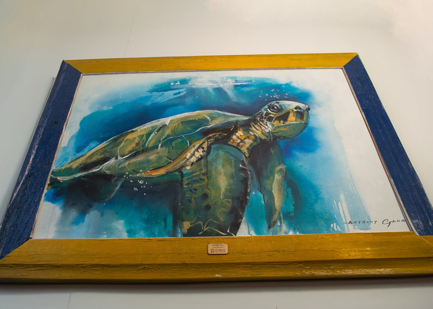 GREEN SEA TURTLE (Anthony Gadd)