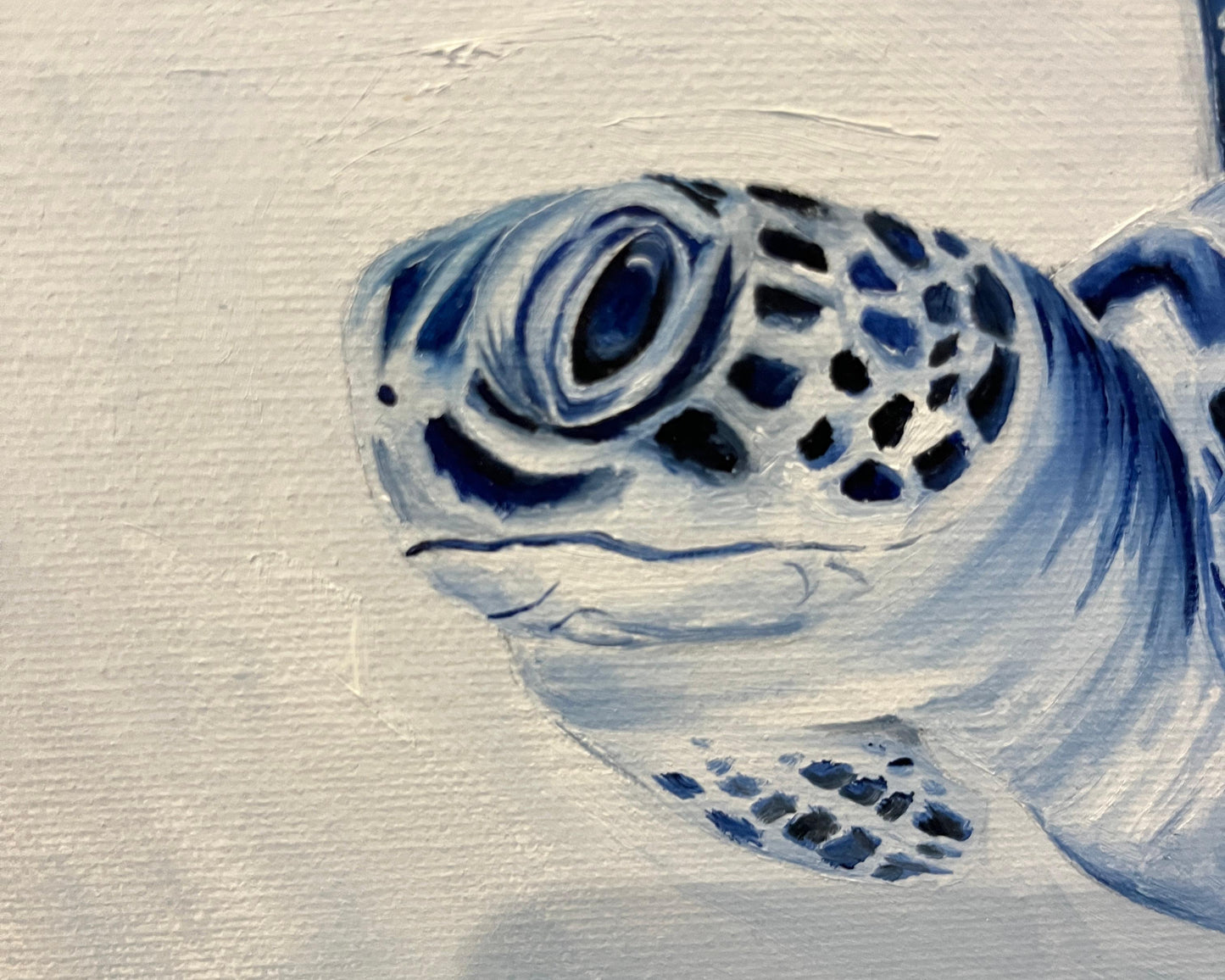 TURTLE (Aimee Kruger)