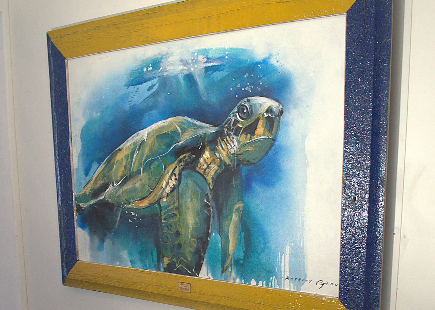 GREEN SEA TURTLE (Anthony Gadd)
