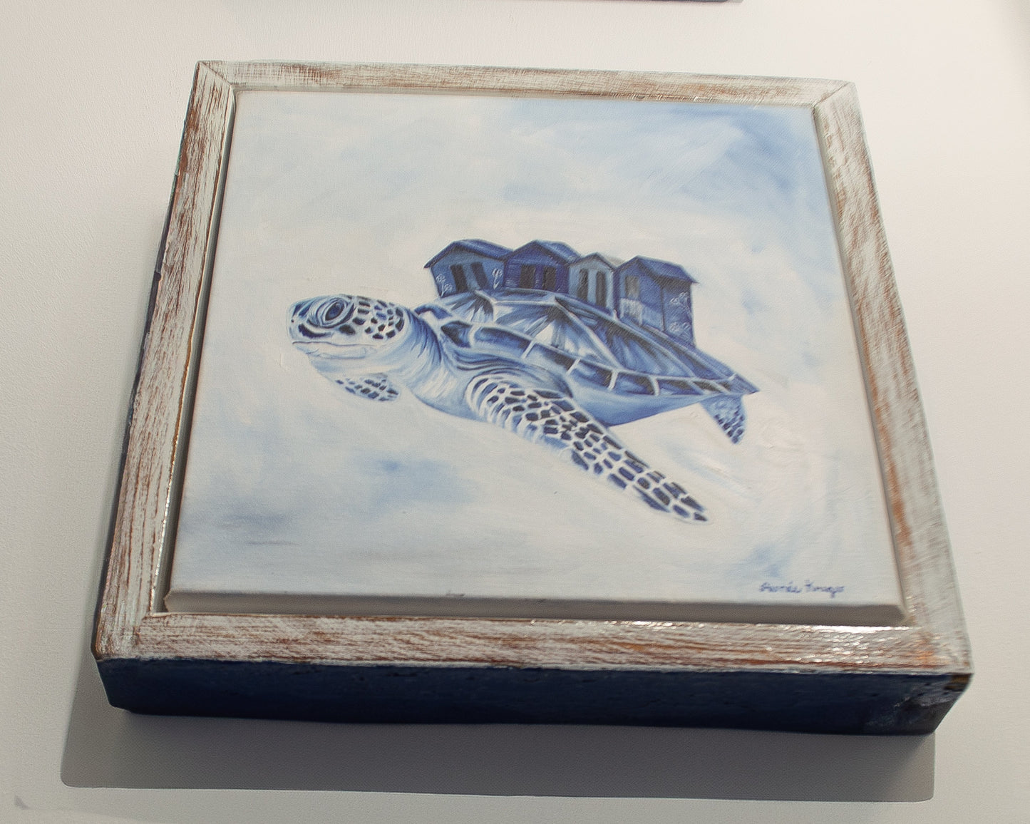 TURTLE (Aimee Kruger)